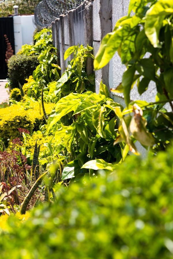 Kwampofu Guest House Harare Exterior foto